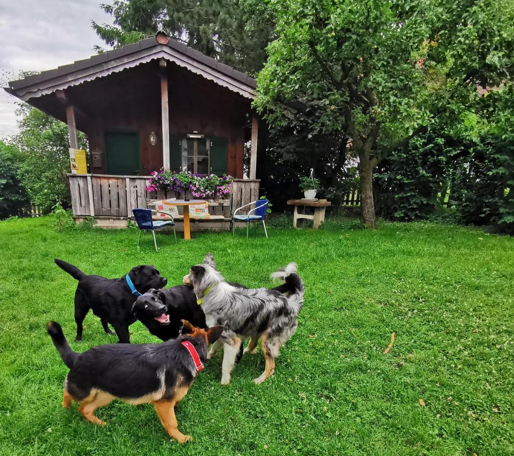 Schusterbauer Villa Koppl Buitenkant foto