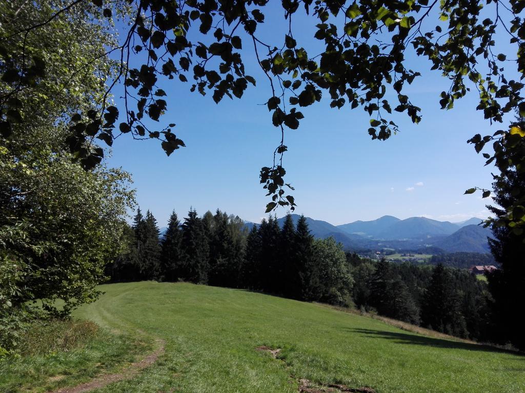 Schusterbauer Villa Koppl Buitenkant foto