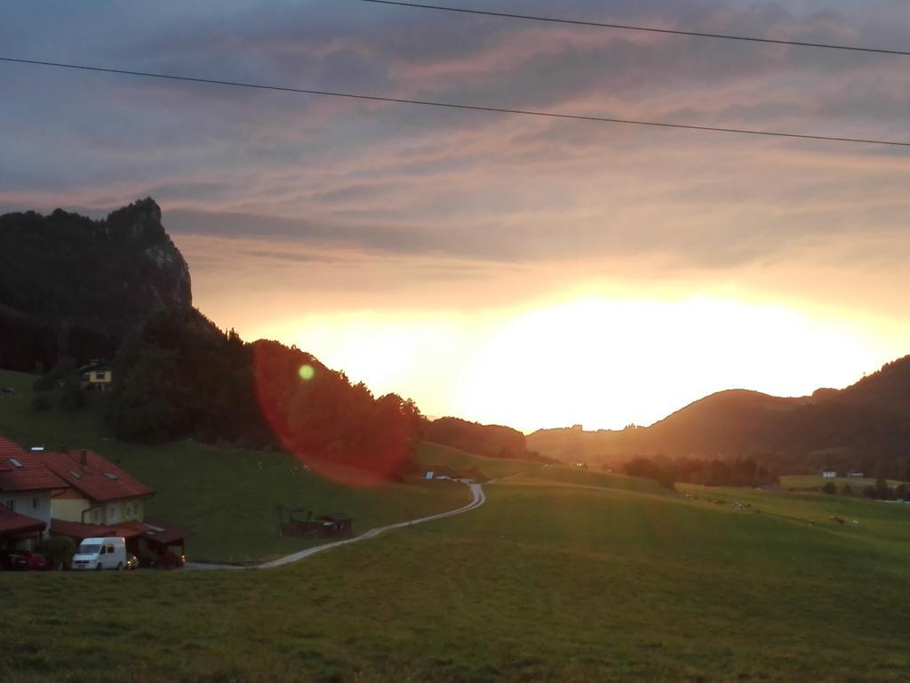Schusterbauer Villa Koppl Buitenkant foto