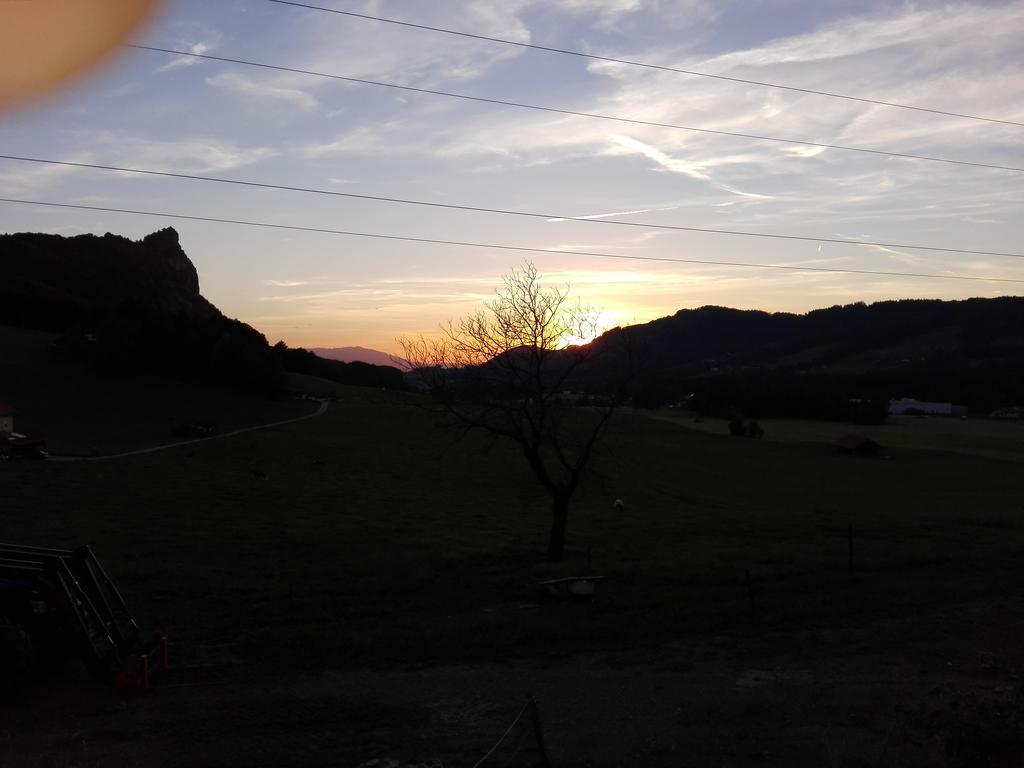 Schusterbauer Villa Koppl Buitenkant foto
