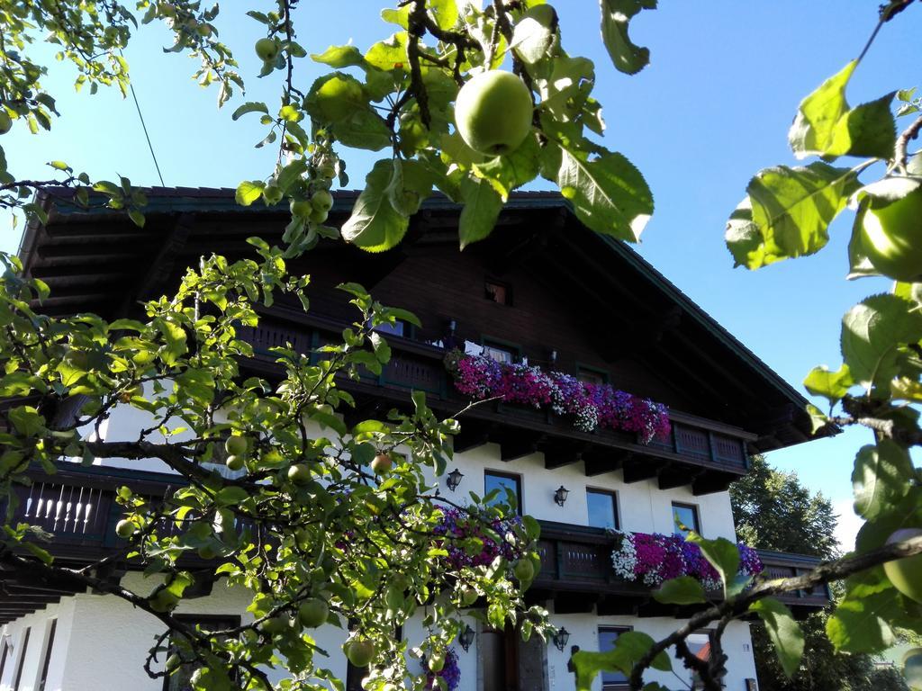 Schusterbauer Villa Koppl Buitenkant foto
