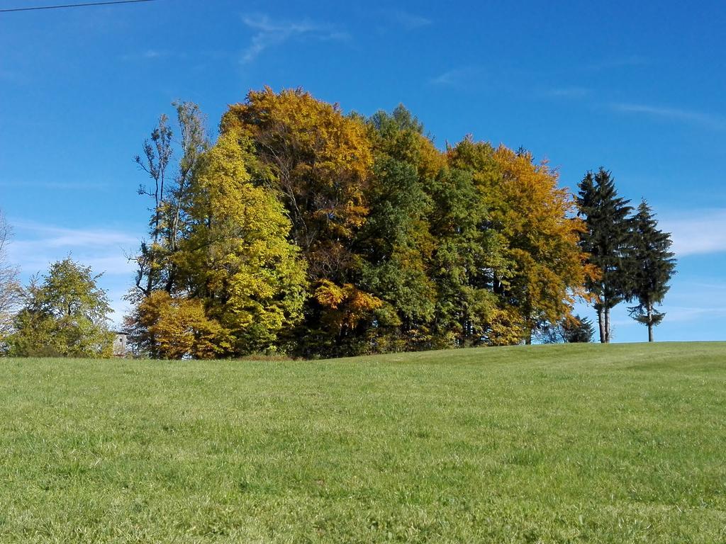 Schusterbauer Villa Koppl Buitenkant foto