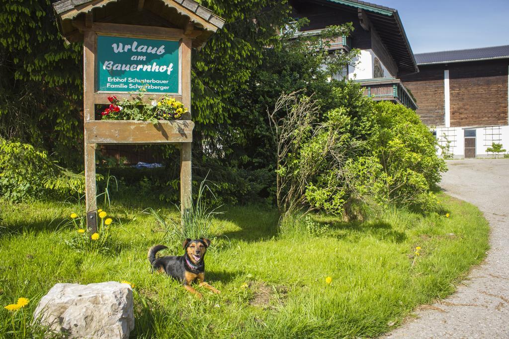 Schusterbauer Villa Koppl Buitenkant foto