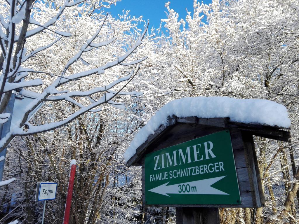 Schusterbauer Villa Koppl Buitenkant foto