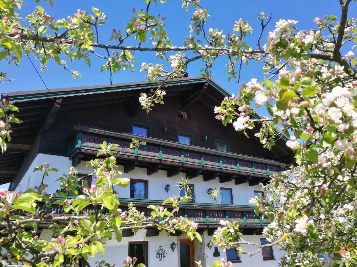 Schusterbauer Villa Koppl Buitenkant foto